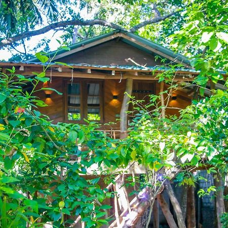 Hotel Dambulla Wilderness World Ngoại thất bức ảnh