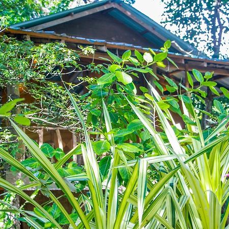Hotel Dambulla Wilderness World Ngoại thất bức ảnh