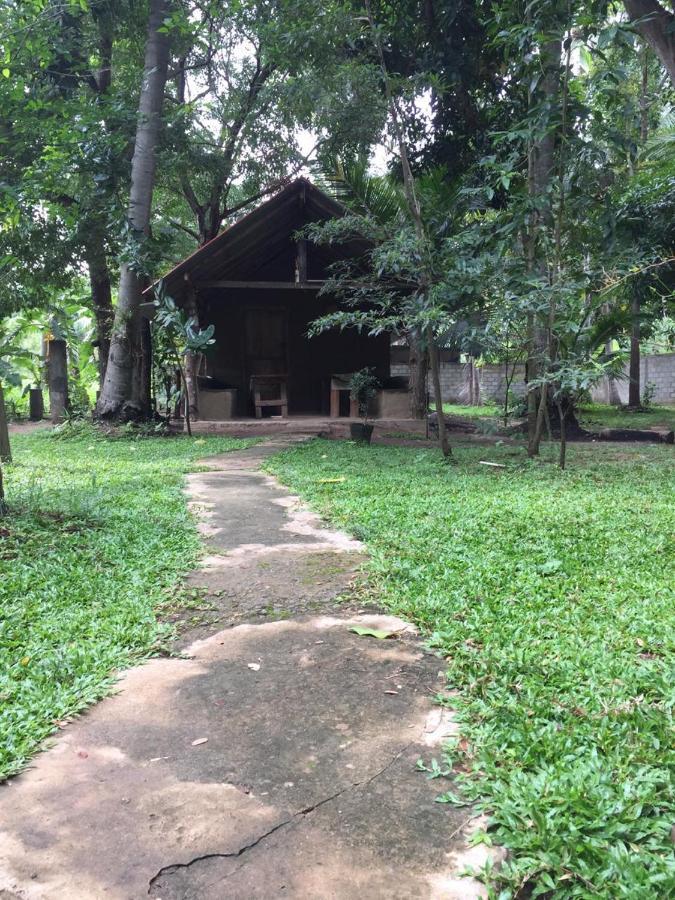 Hotel Dambulla Wilderness World Ngoại thất bức ảnh