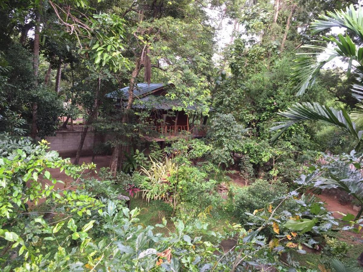 Hotel Dambulla Wilderness World Ngoại thất bức ảnh