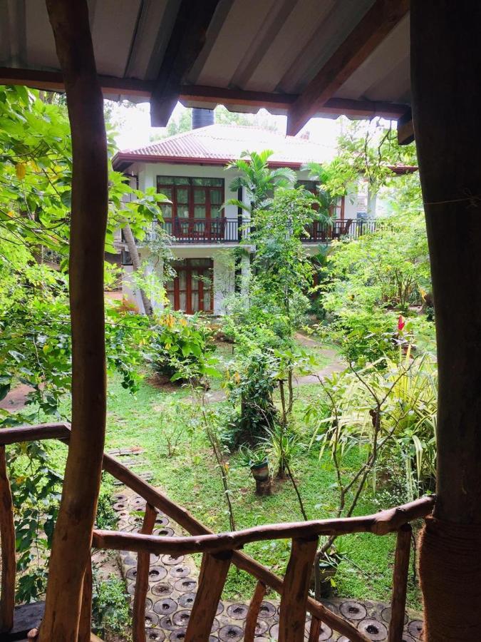 Hotel Dambulla Wilderness World Ngoại thất bức ảnh