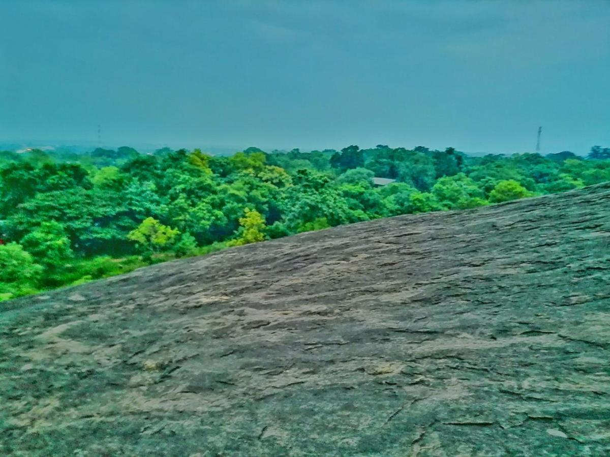 Hotel Dambulla Wilderness World Ngoại thất bức ảnh