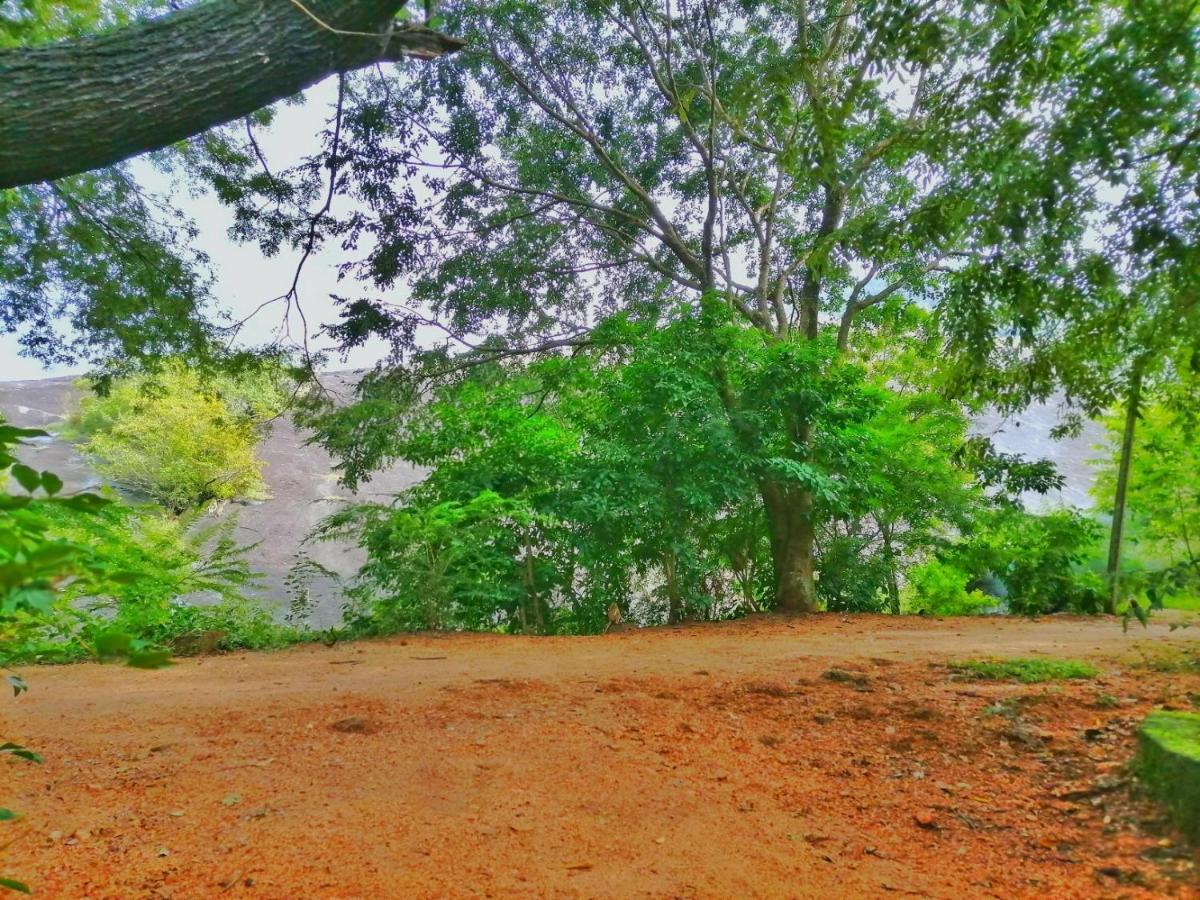Hotel Dambulla Wilderness World Ngoại thất bức ảnh