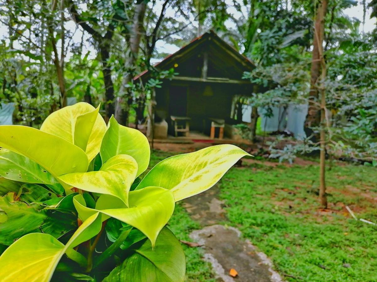Hotel Dambulla Wilderness World Ngoại thất bức ảnh