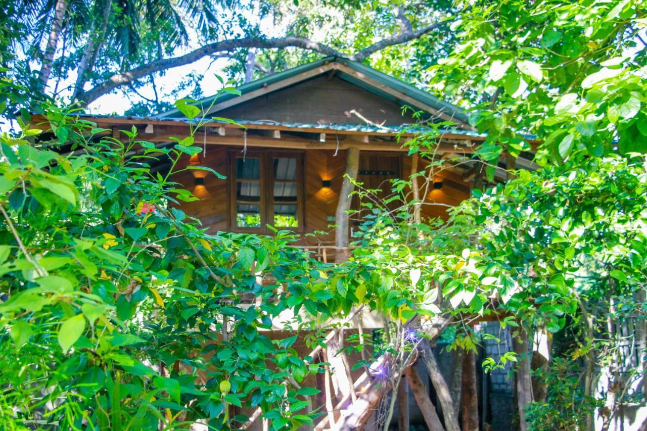 Hotel Dambulla Wilderness World Ngoại thất bức ảnh