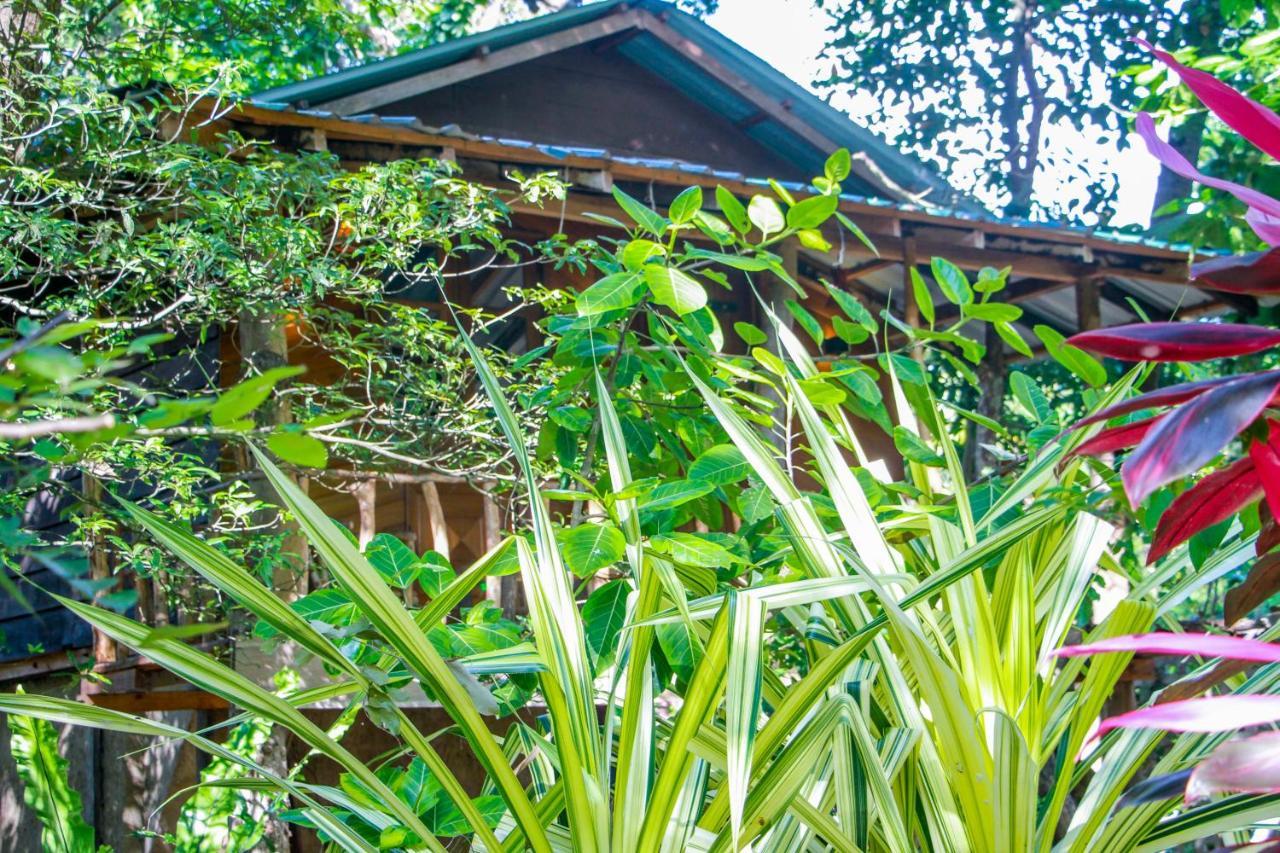 Hotel Dambulla Wilderness World Ngoại thất bức ảnh