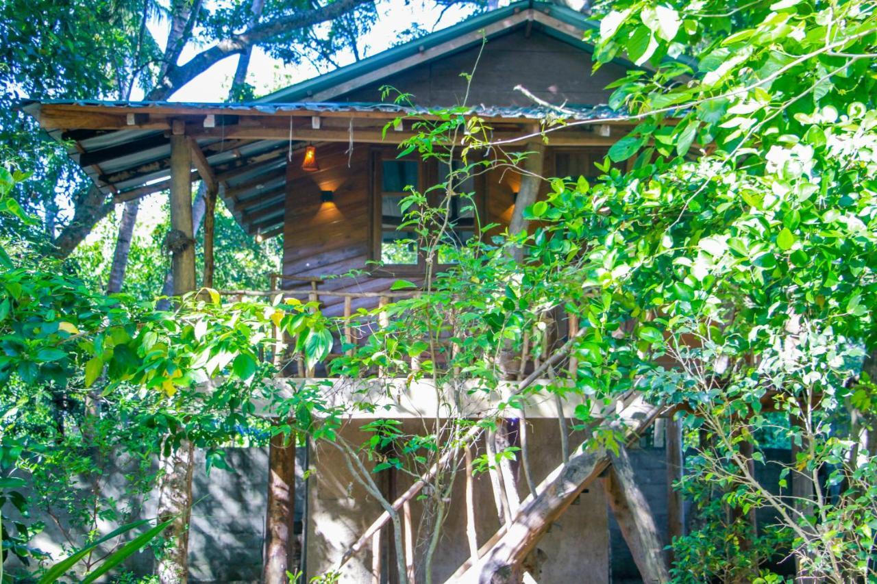 Hotel Dambulla Wilderness World Ngoại thất bức ảnh